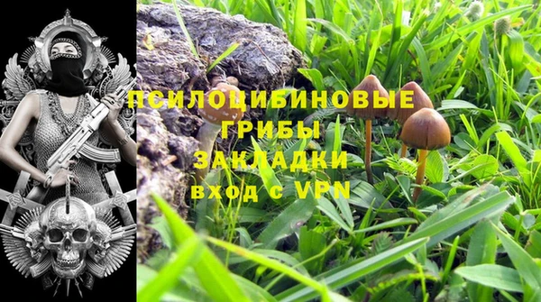 ПСИЛОЦИБИНОВЫЕ ГРИБЫ Балахна