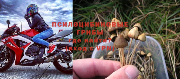 гашик Балабаново