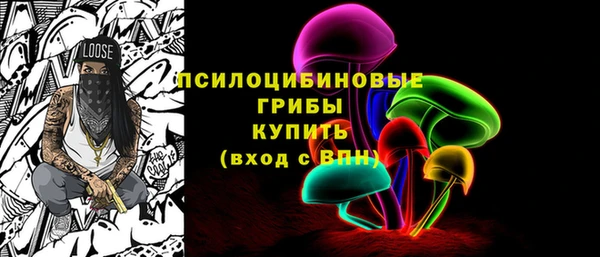 гашик Балабаново